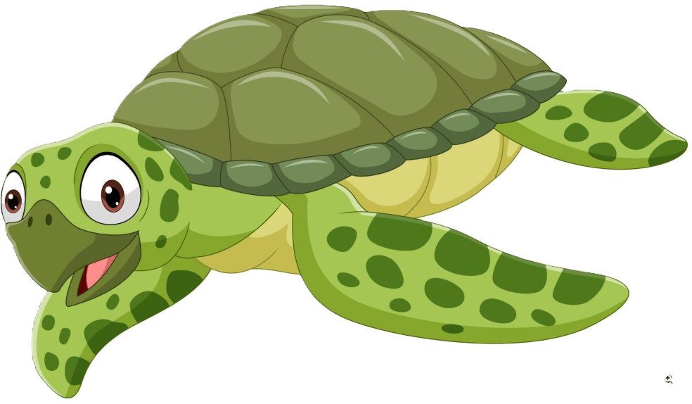 Turtle